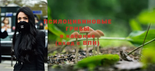 крисы Тольятти