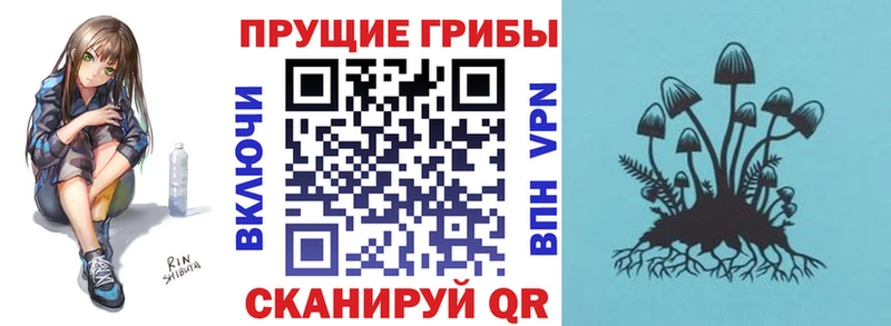 Купить где  Туринск  Псилоцибиновые грибы мицелий 